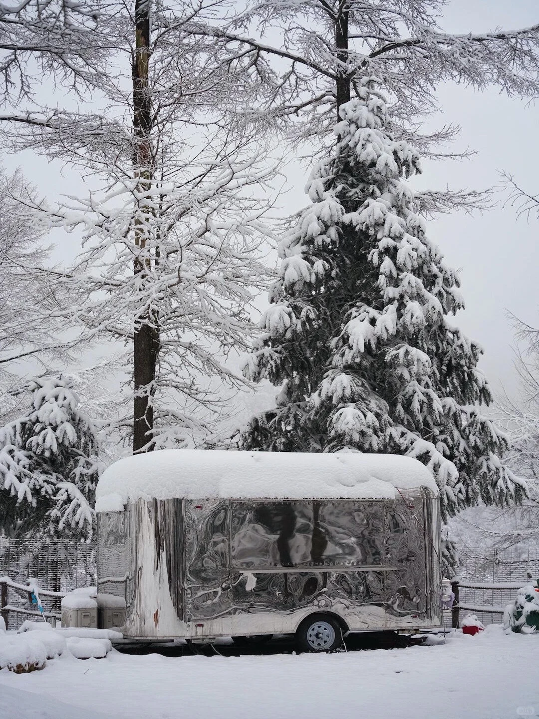 打工人必看❗️安吉冬天赏雪疗愈指南
