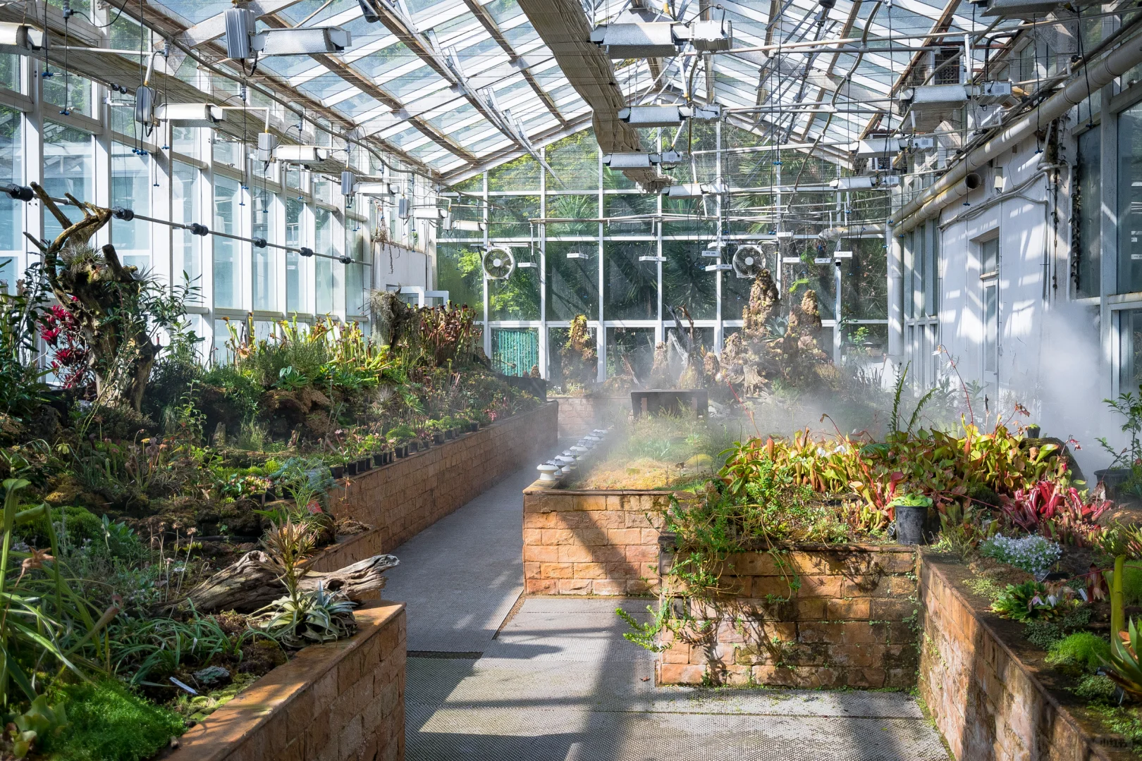 植物爱好者的天堂，昆明必玩景点扶荔宫攻略