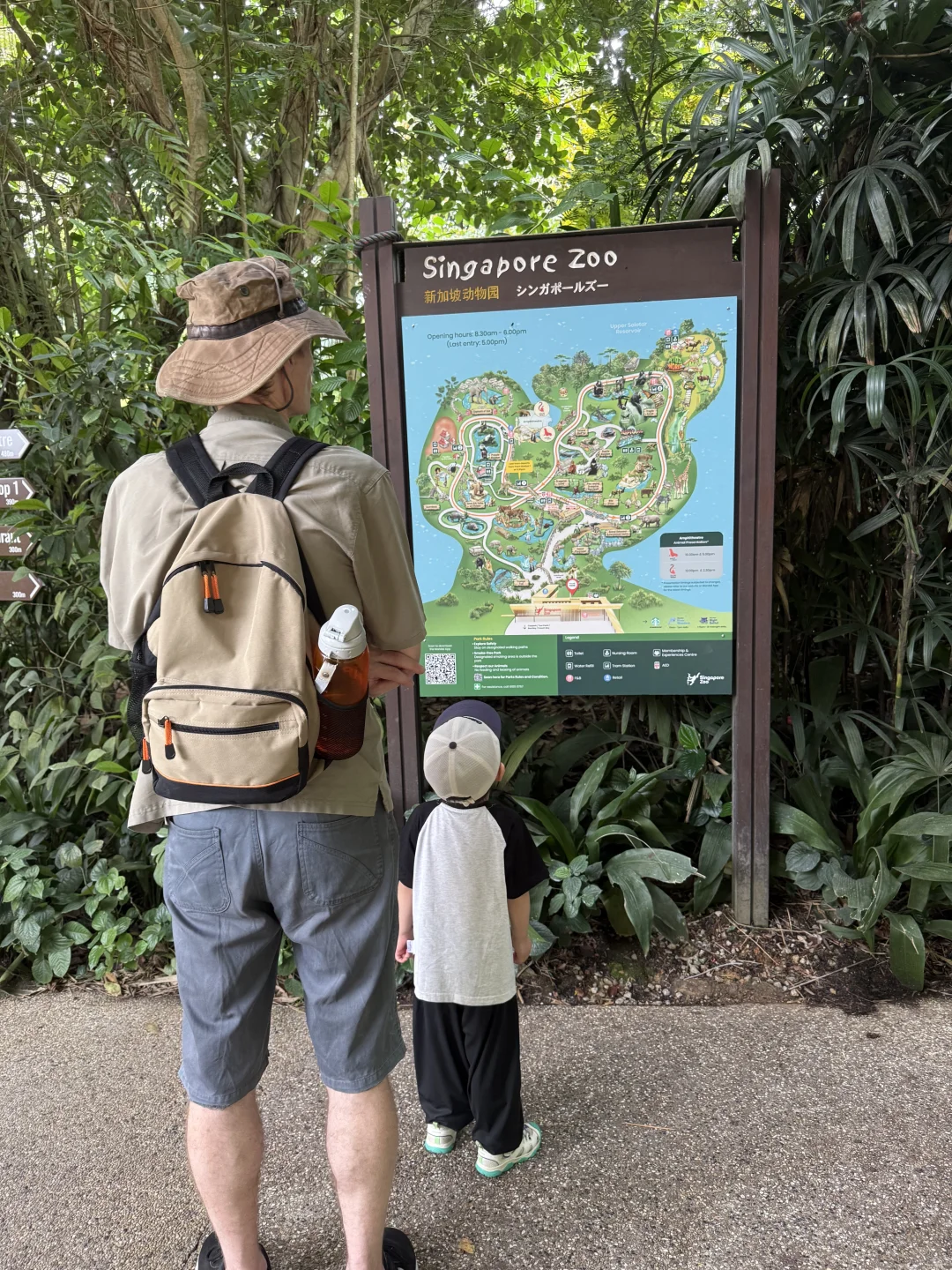 新加坡带娃游｜娃嗨翻不费妈｜🌞🌞