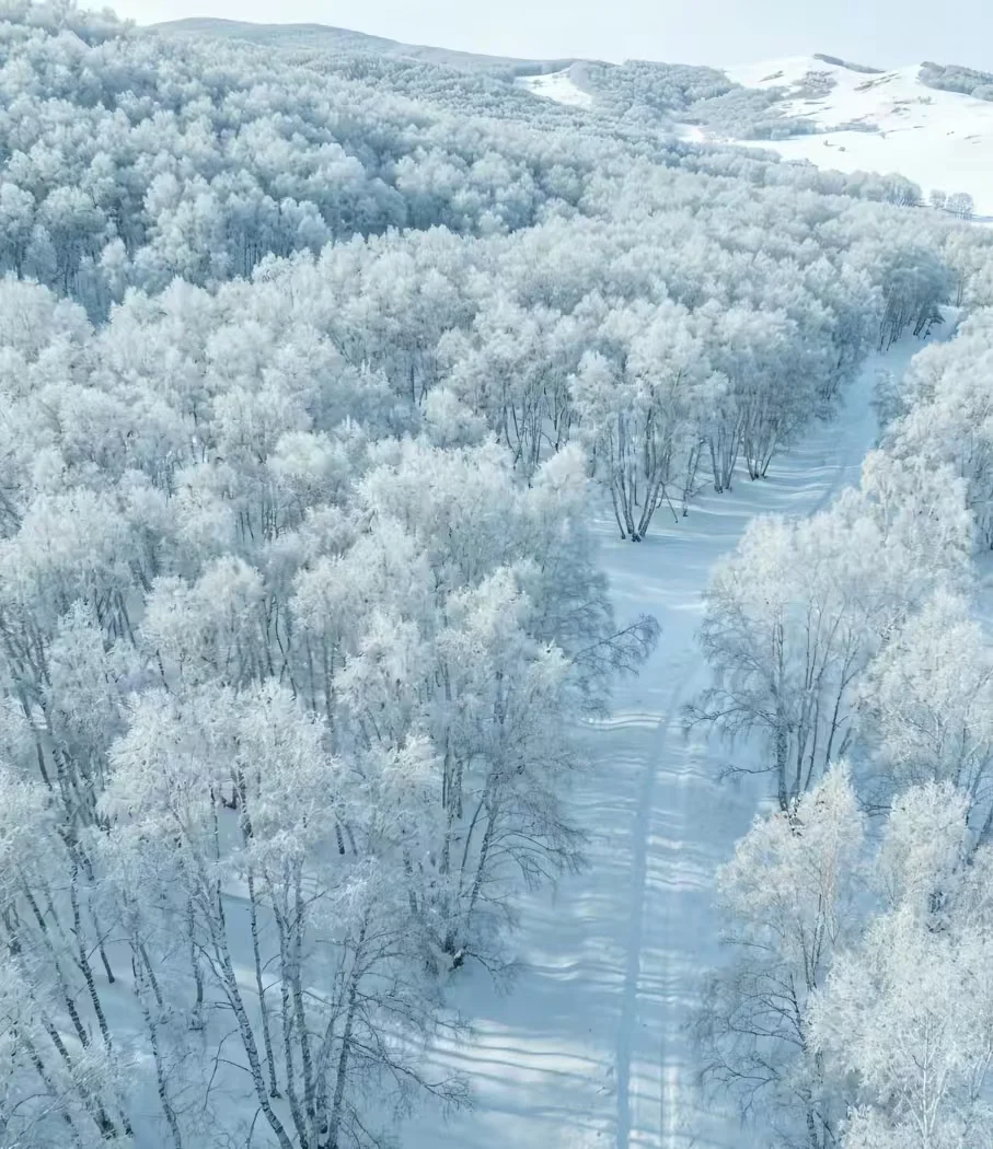 冬日必冲！乌兰布统雪地越野太上头