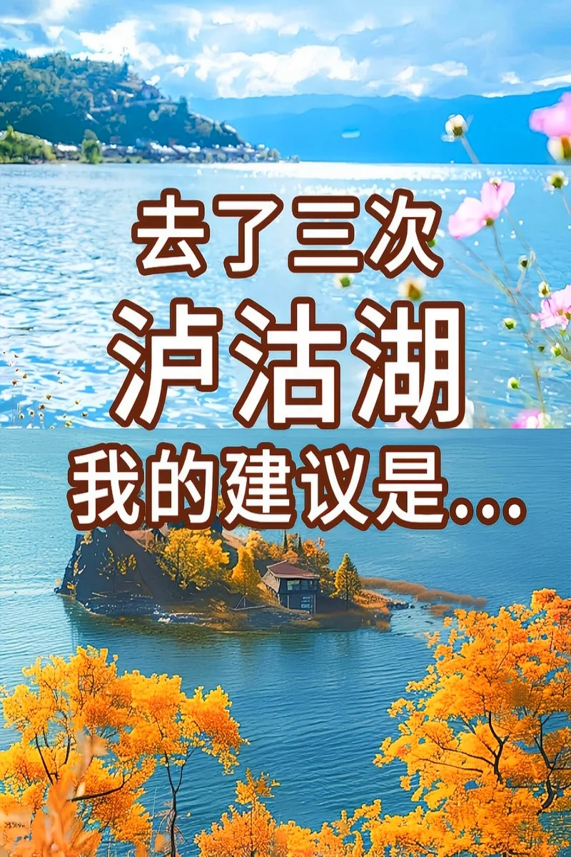 泸沽湖的冬天✨只需要168🦅晨雾海鸥拿下