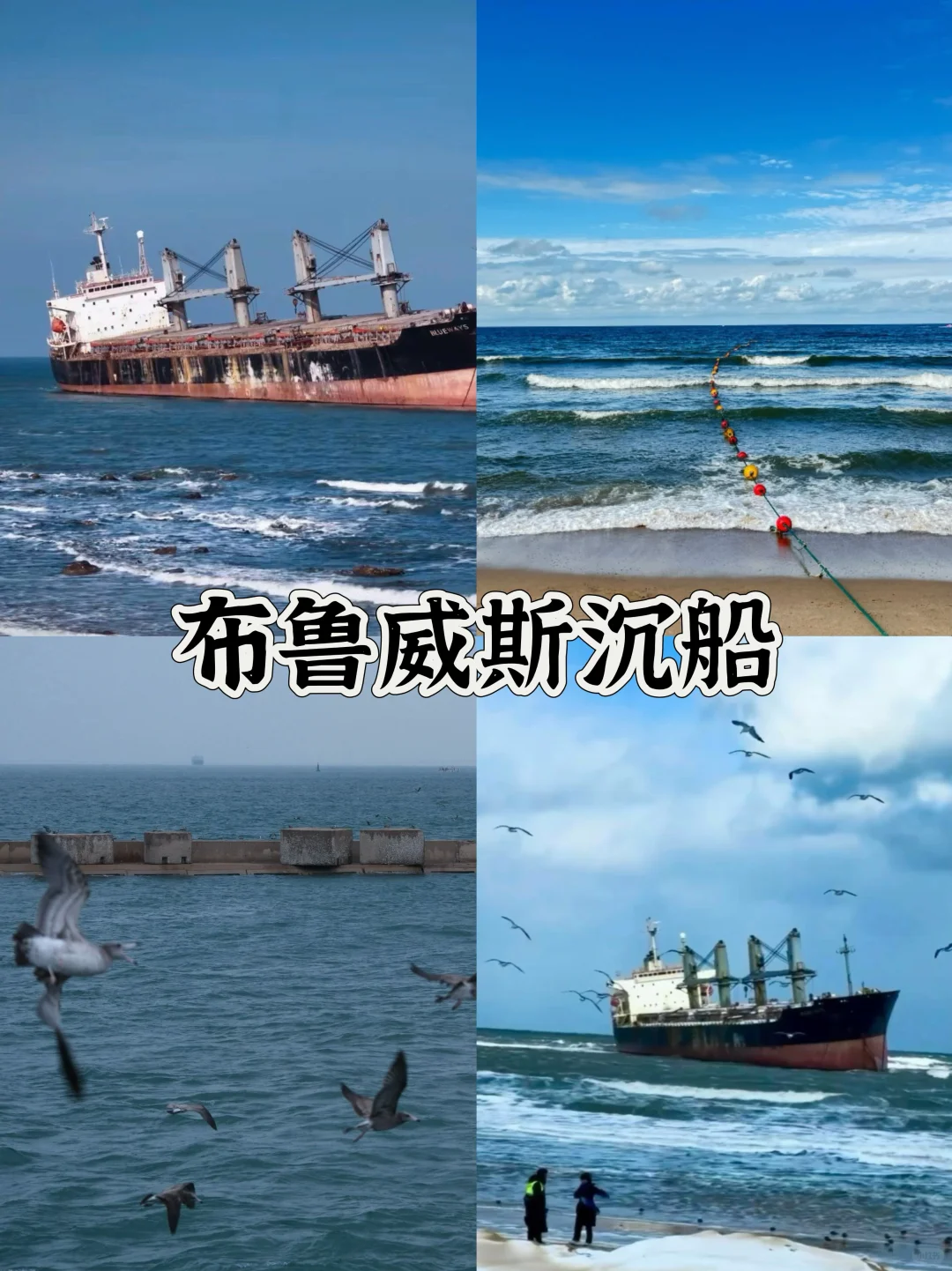 冬天来威海玩的姐妹别怪我没告诉你！