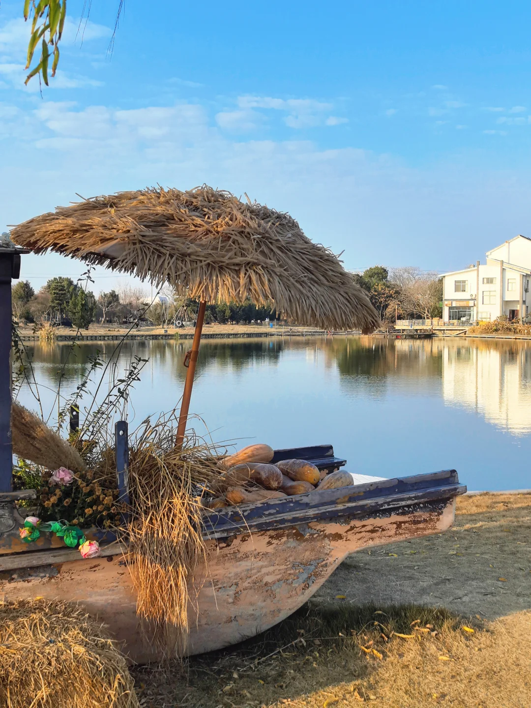 杭州开车1.5h的景区|太适合遛娃遛狗啦