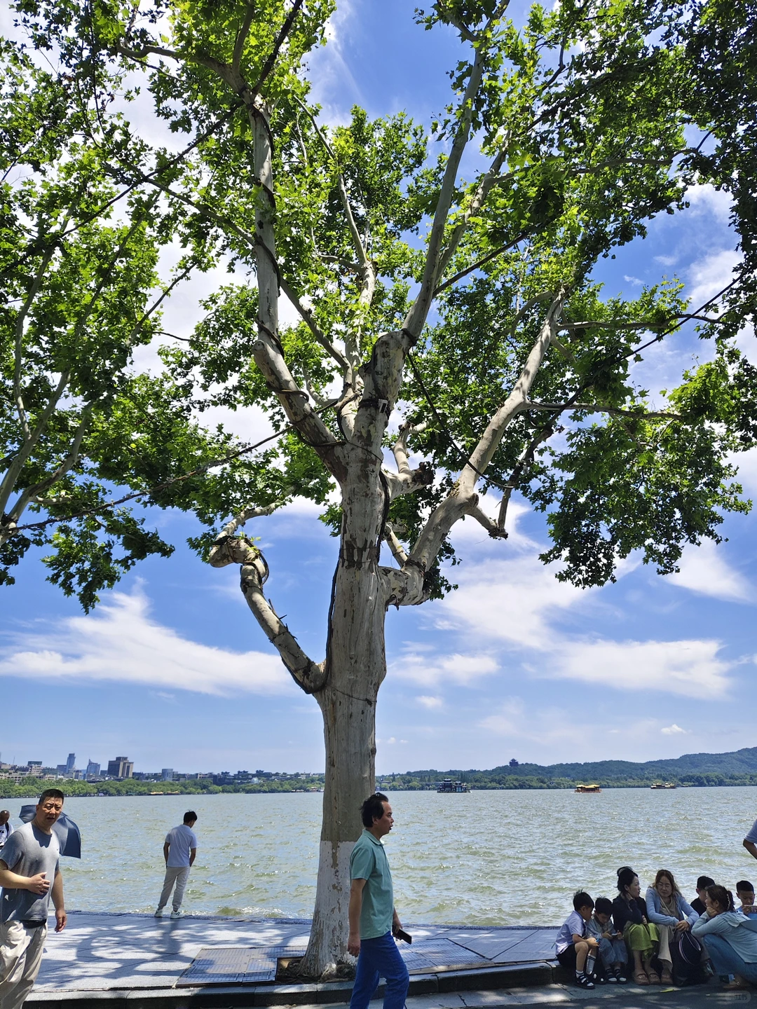 晴天的杭州怎么拍都出片📷