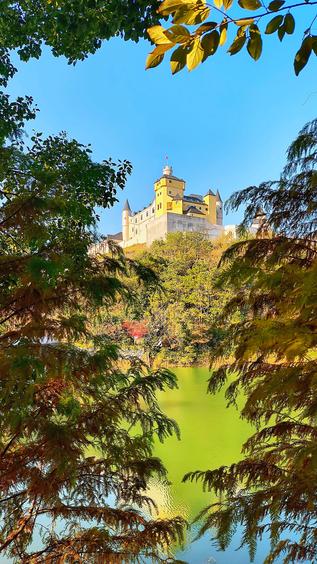 湖州暖冬必打卡的梦幻城堡🌲️❄️