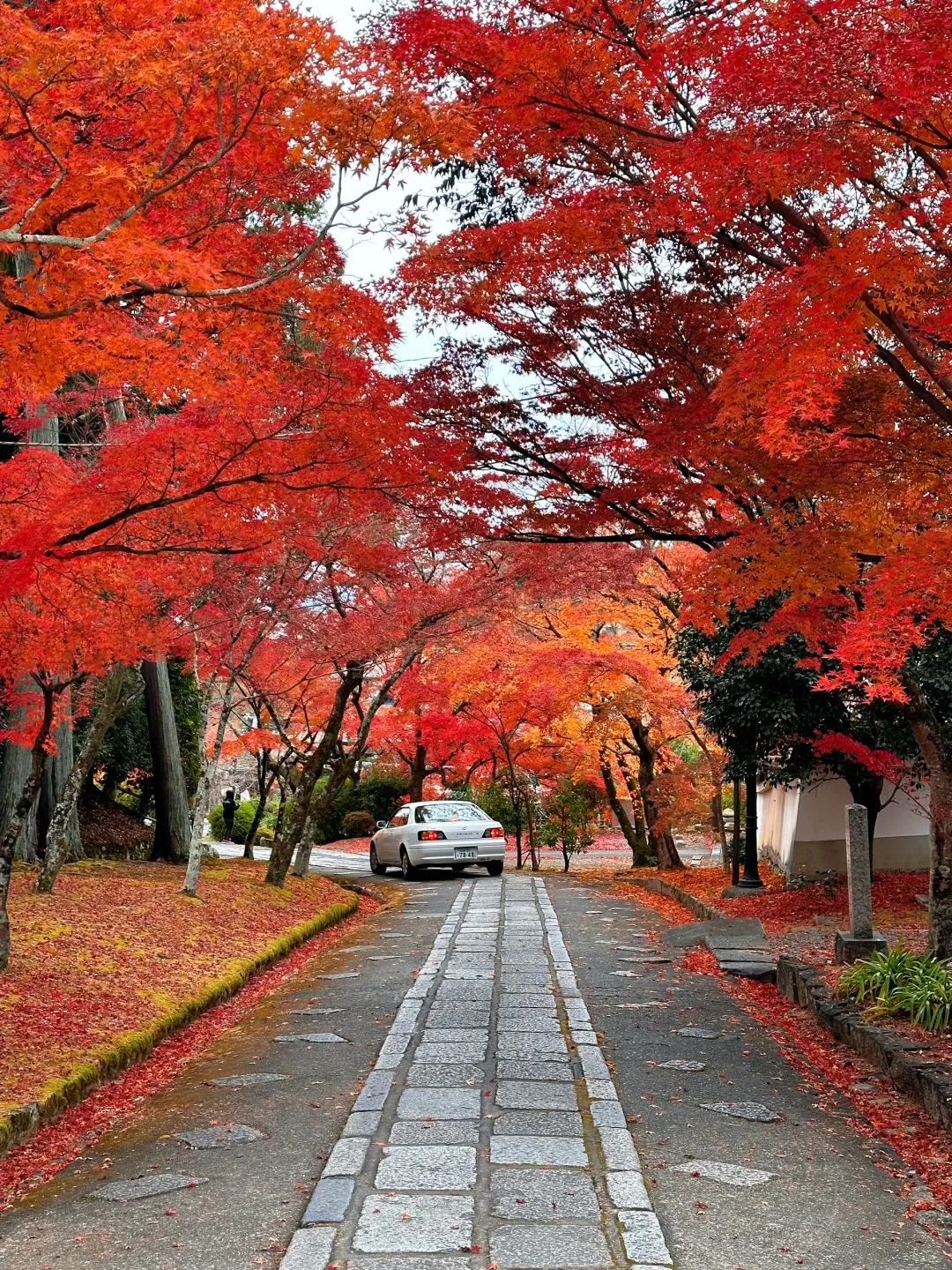 用实况打开红叶季🍁京都真的没有对手🍂