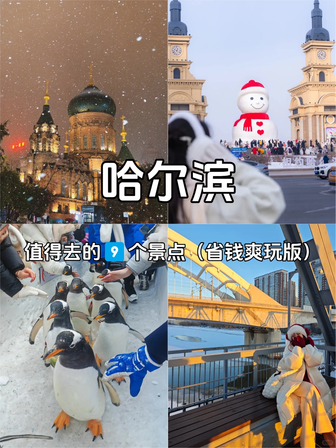 哈尔滨9个必玩景点✅花钱少还玩得爽