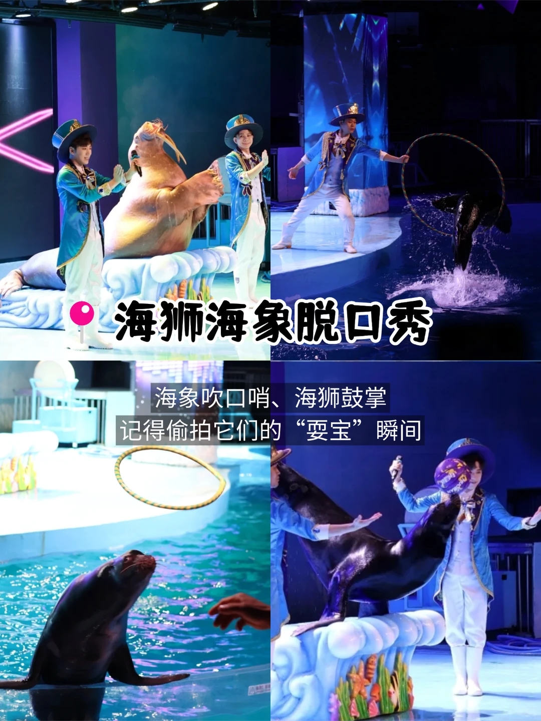 哈尔滨9个必玩景点✅花钱少还玩得爽