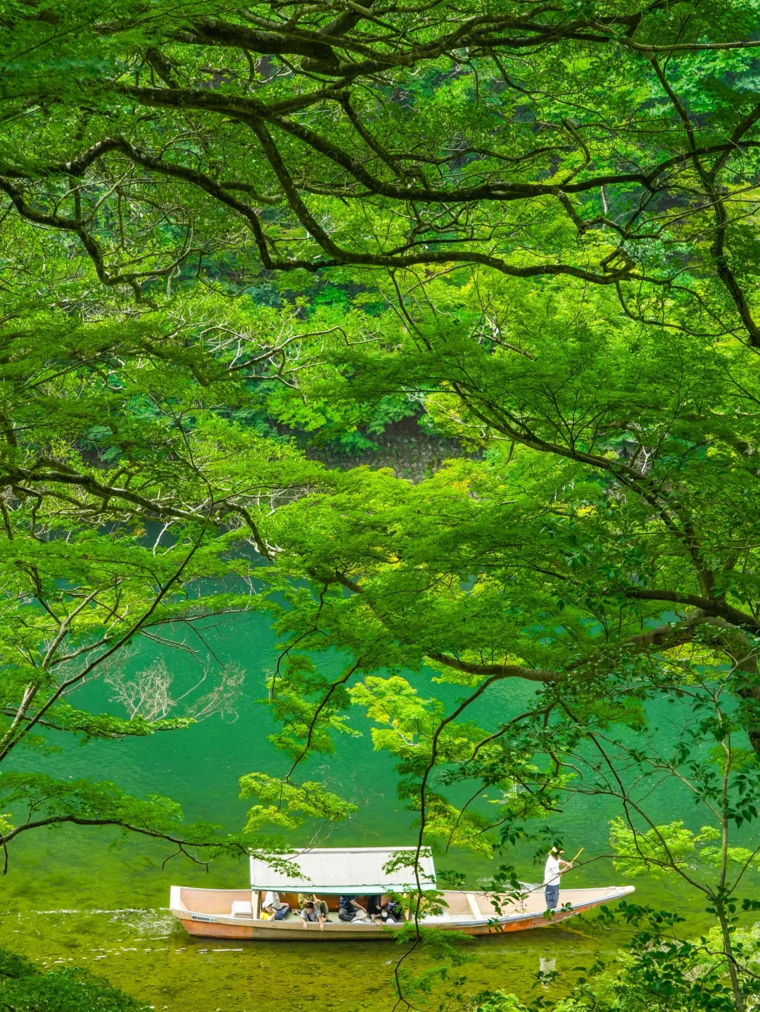 发朋友圈被问疯了！大阪京都拍的人生照片！