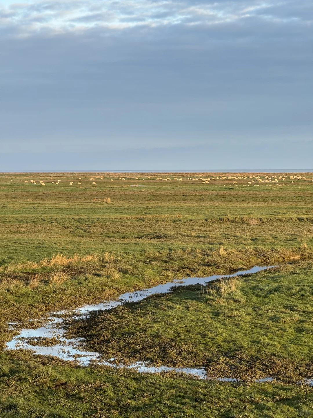 总有一天你会一个人来到这里