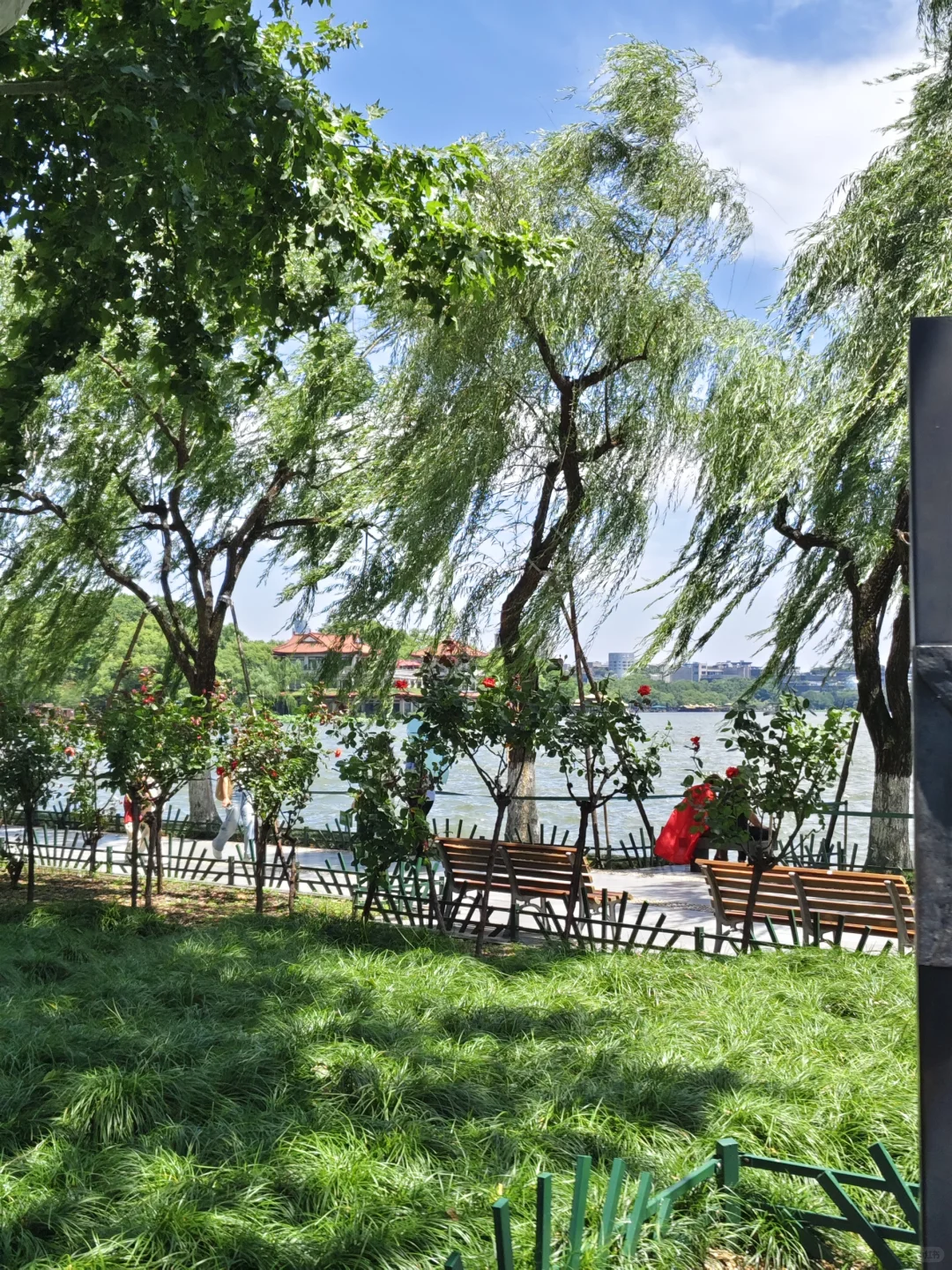 晴天的杭州怎么拍都出片📷