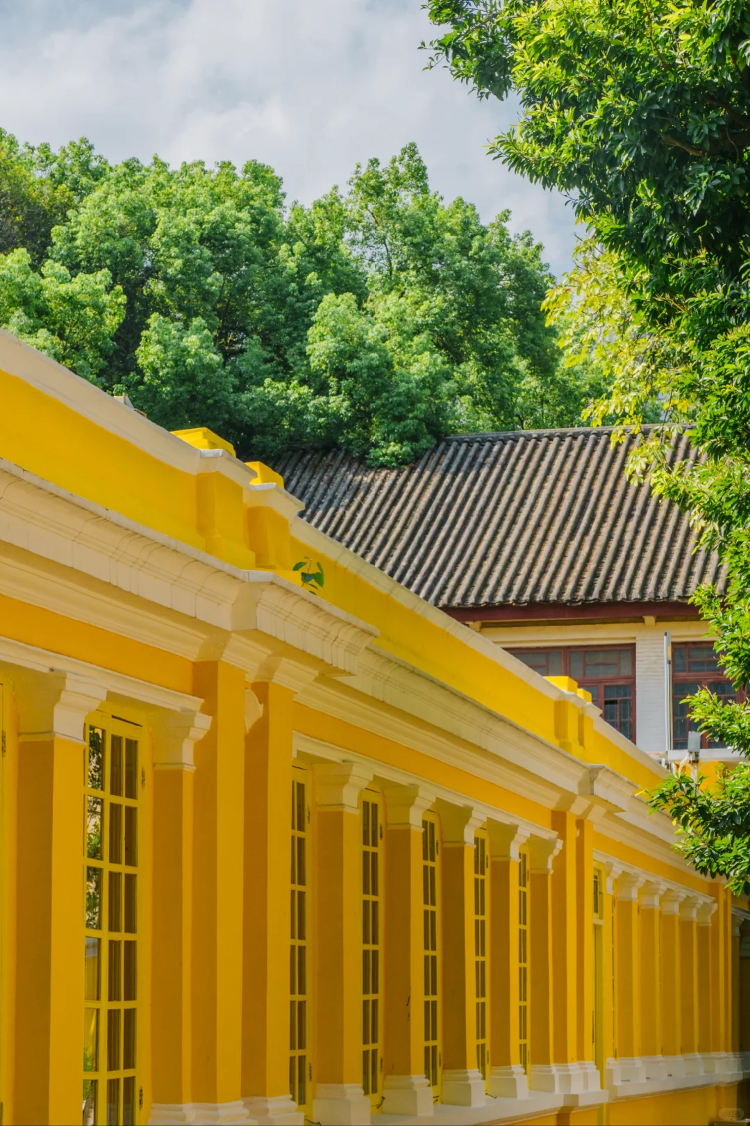 谁还没发现这座藏在市中心的民国黄楼啊