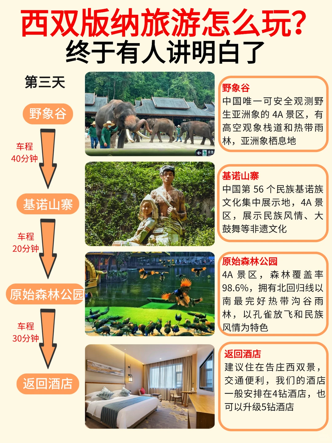 绝了❗终于有人把西双版纳旅游说清楚了🔥