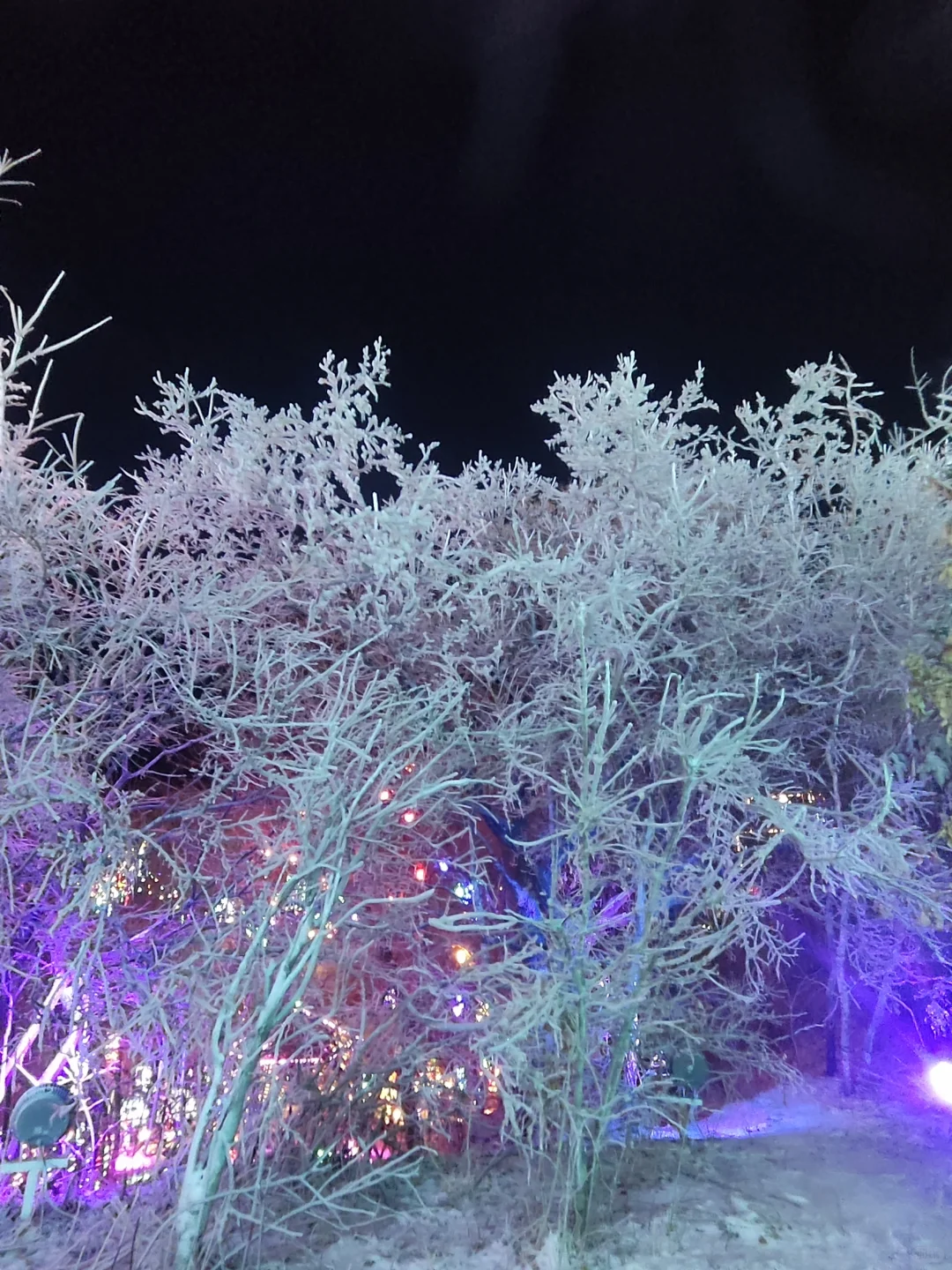 我看谁敢避雷冰雪新天地！