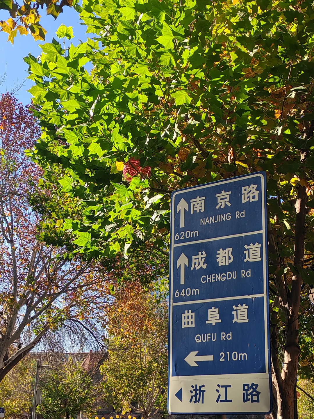 今天的天津有亿点好看