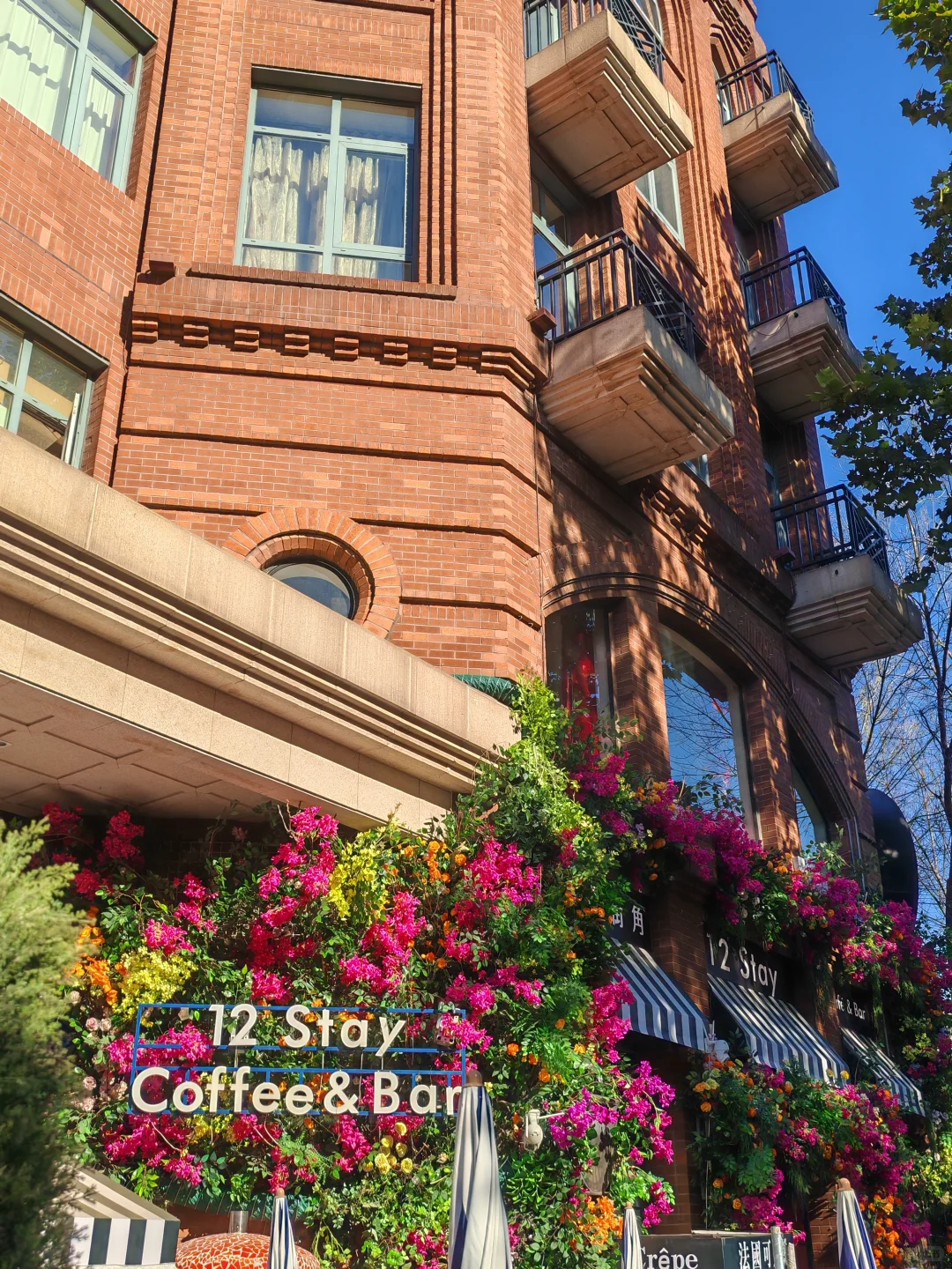 今天的天津有亿点好看