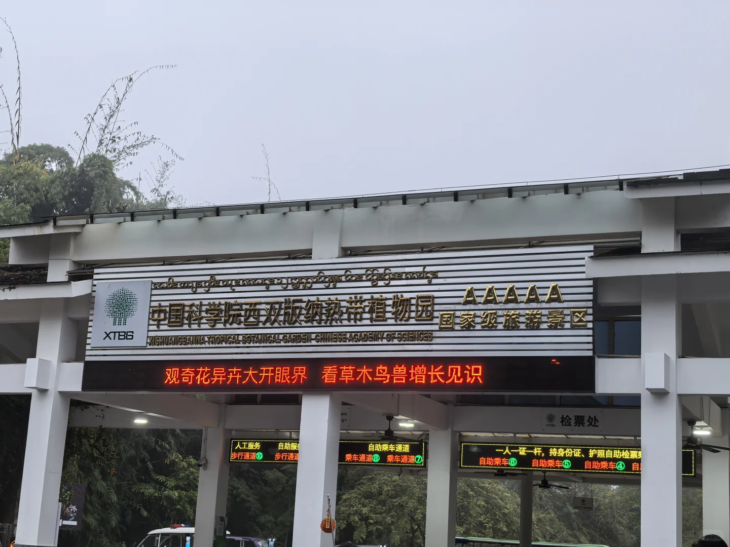 版纳必玩的两个景点