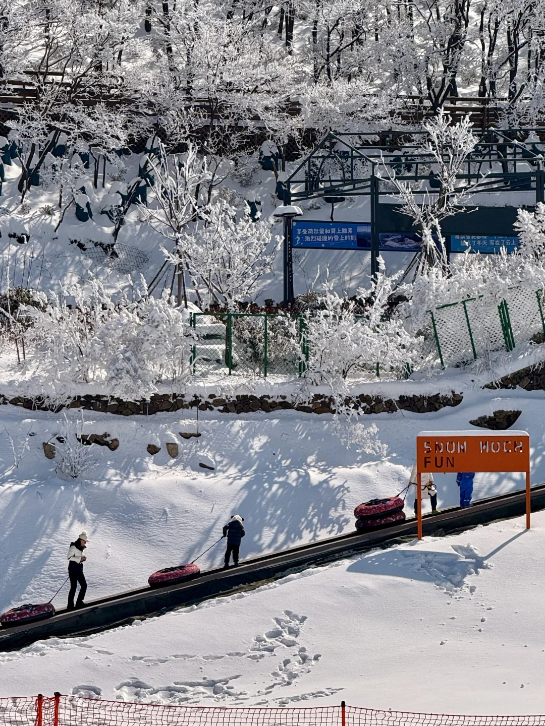 打工人必看❗️安吉冬天赏雪疗愈指南