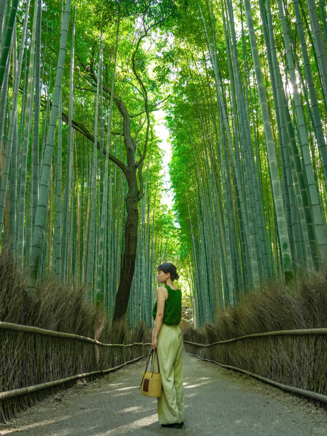 发朋友圈被问疯了！大阪京都拍的人生照片！