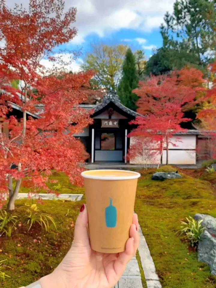 用实况打开红叶季🍁京都真的没有对手🍂