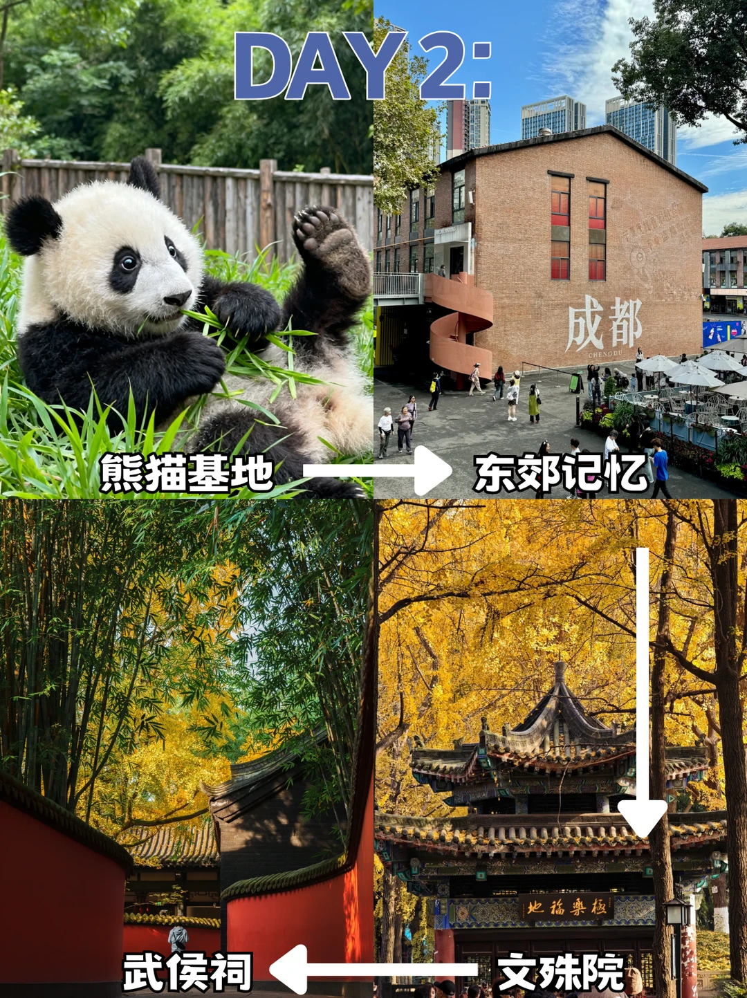 成都必打卡景点🗺️路痴也能轻松玩转