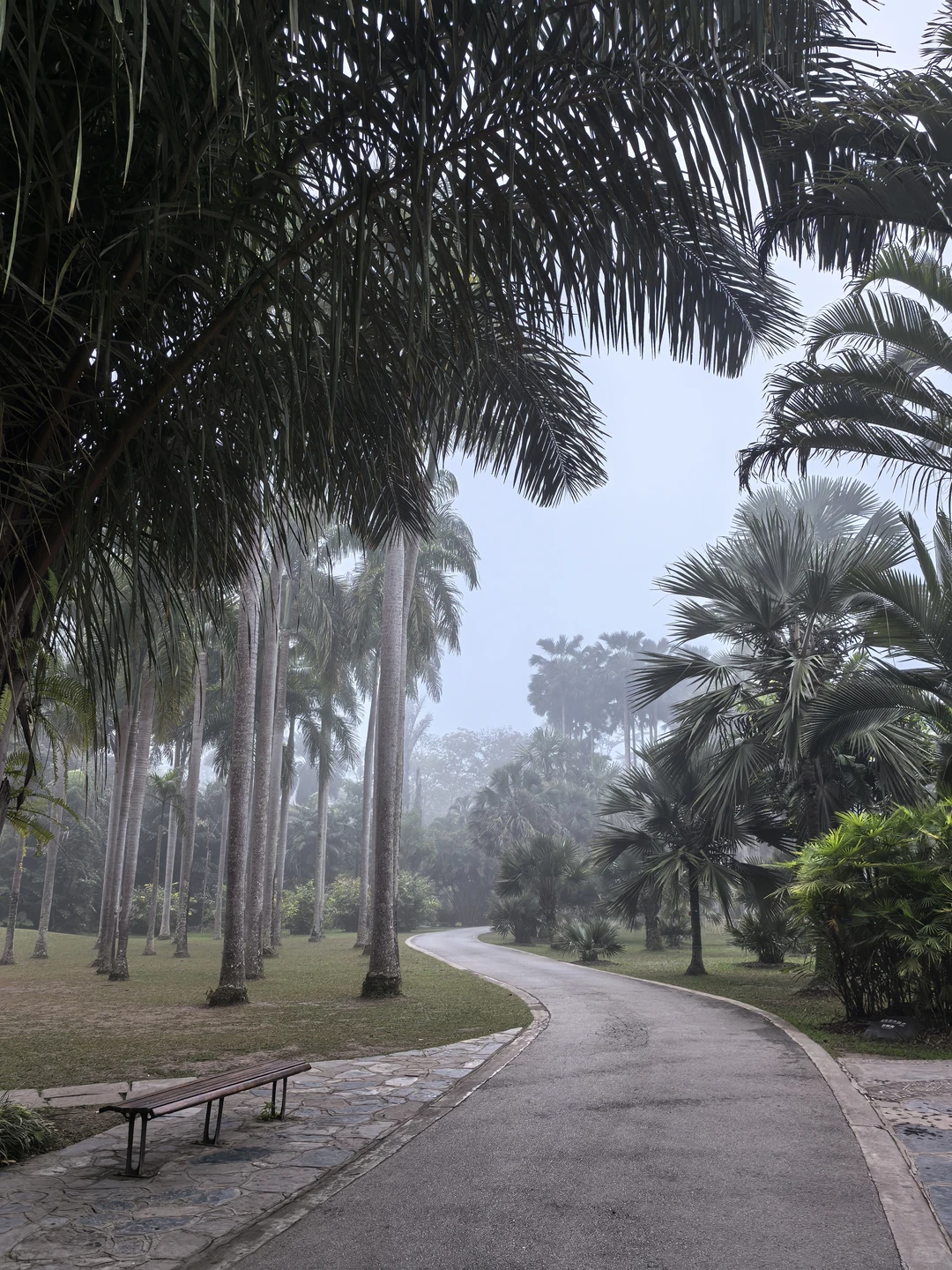 版纳必玩的两个景点