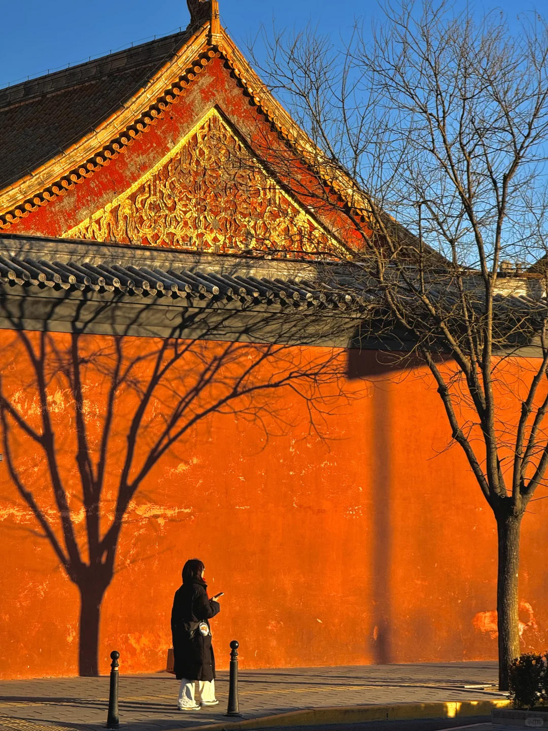 该怎么向你形容北京的冬天呢❄️