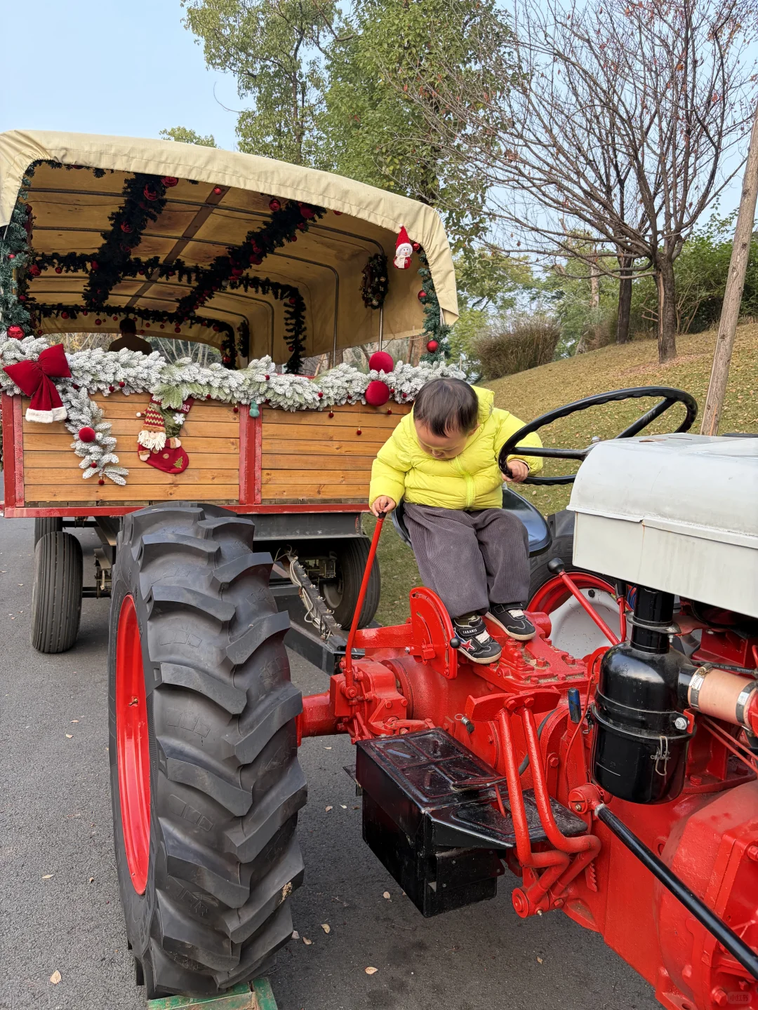 妈妈 快上车，我载你呀！