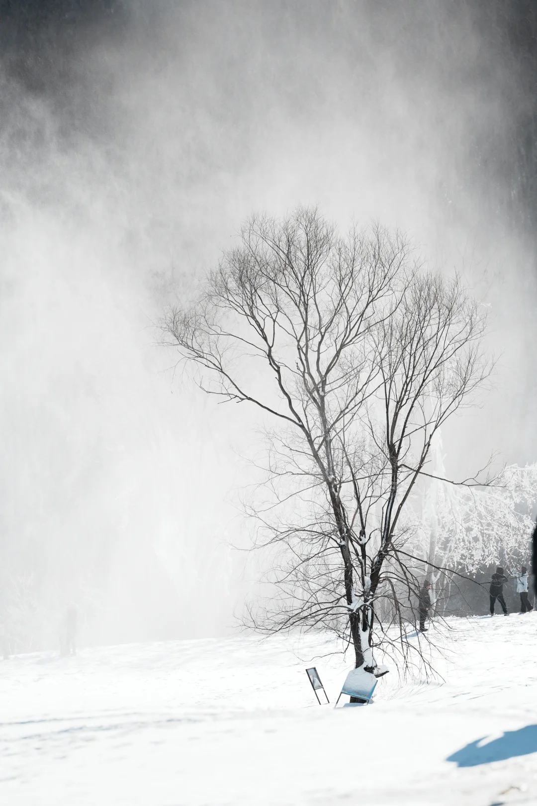 北京遛狗党!玉渡山玩雪太快乐了