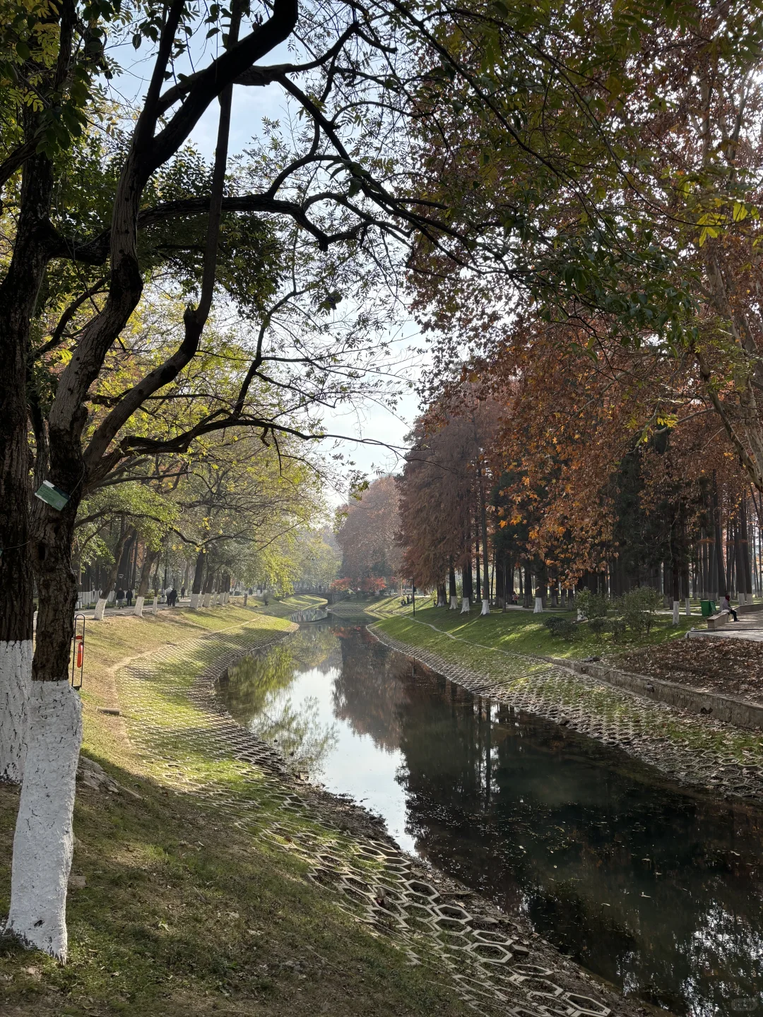 武汉大学生没课去哪玩