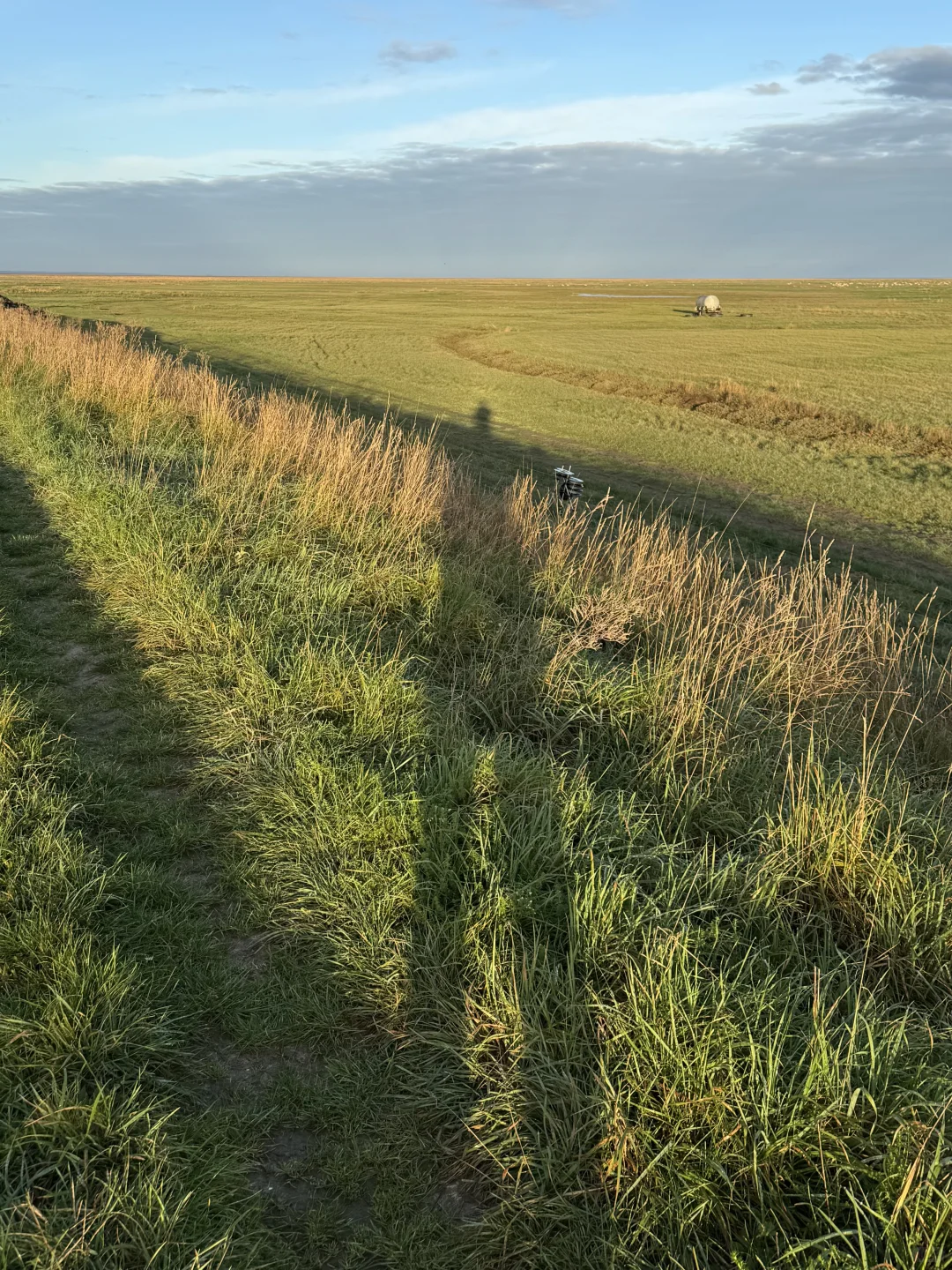 总有一天你会一个人来到这里