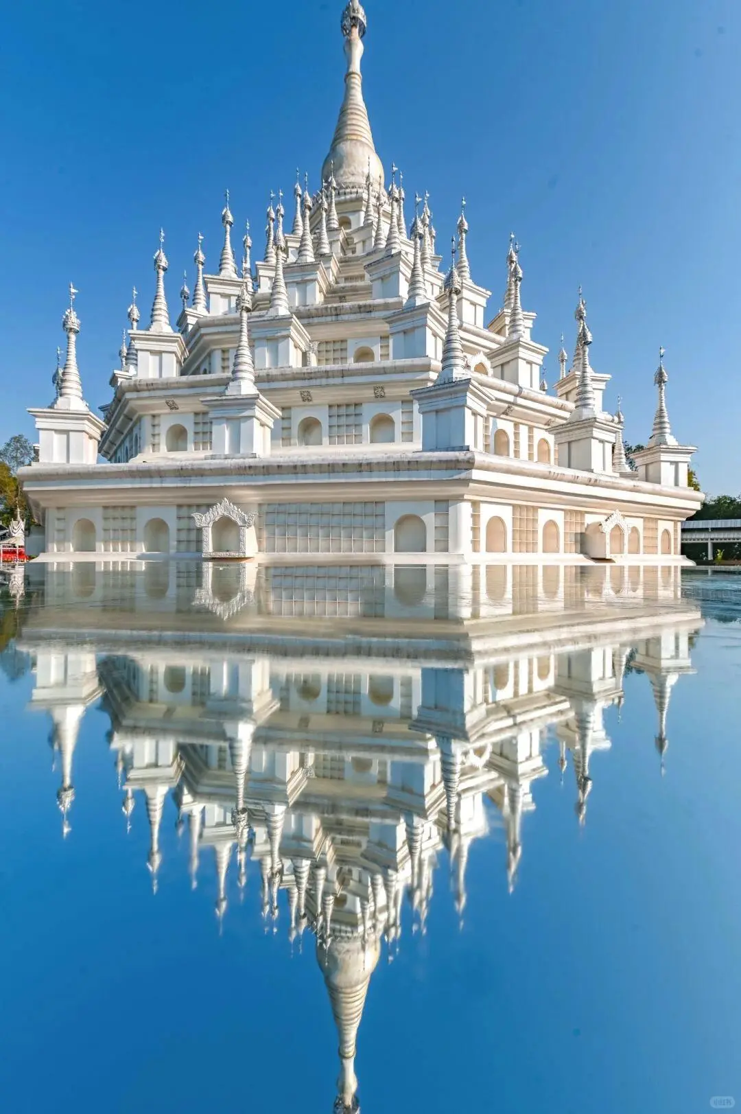 不得不说❗云南纯玩旅行🔥真正的品质游✅