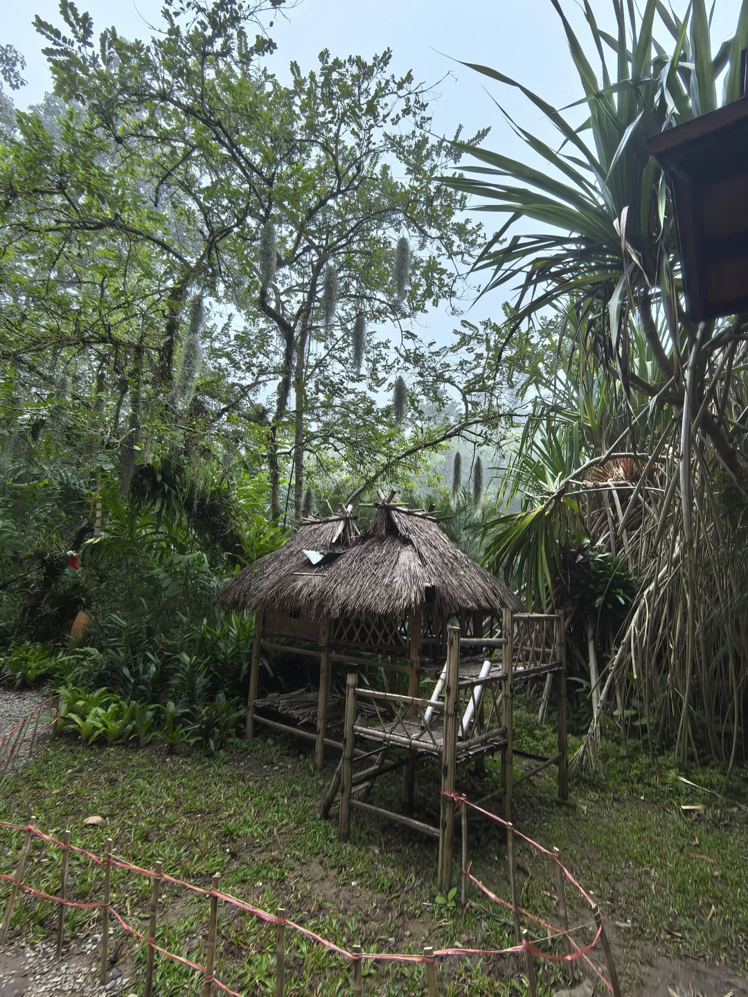 版纳必玩的两个景点