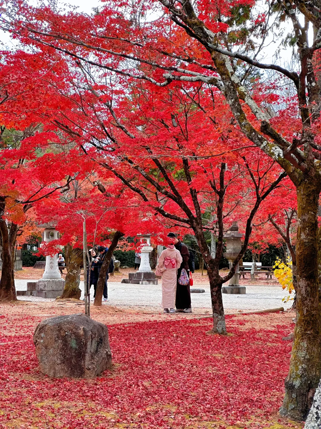 用实况打开红叶季🍁京都真的没有对手🍂