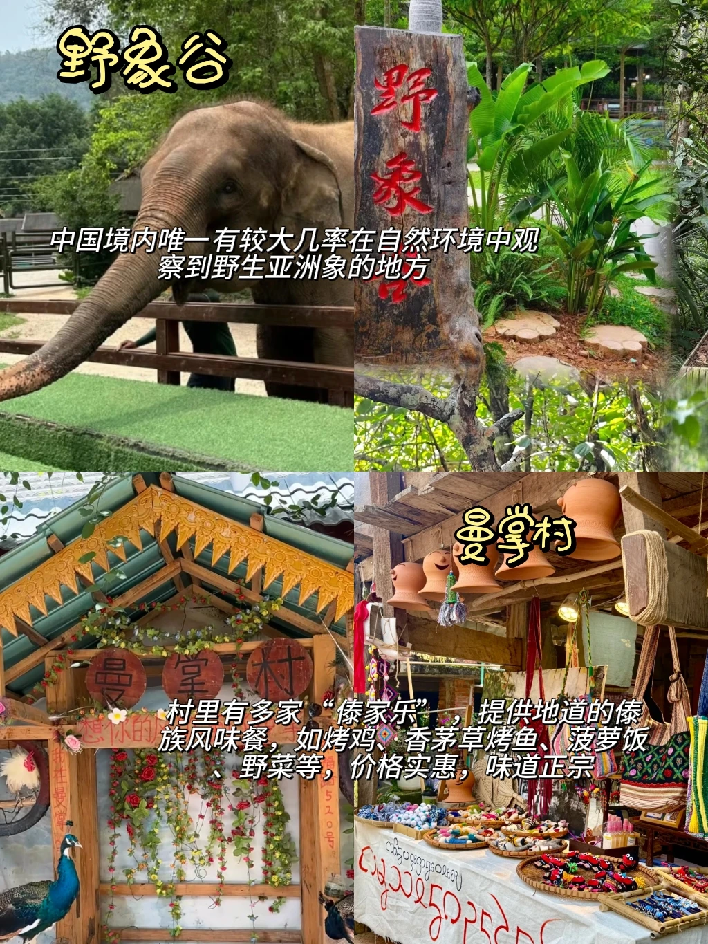 假期去哪玩❓️西双版纳12个休闲好去处‼️