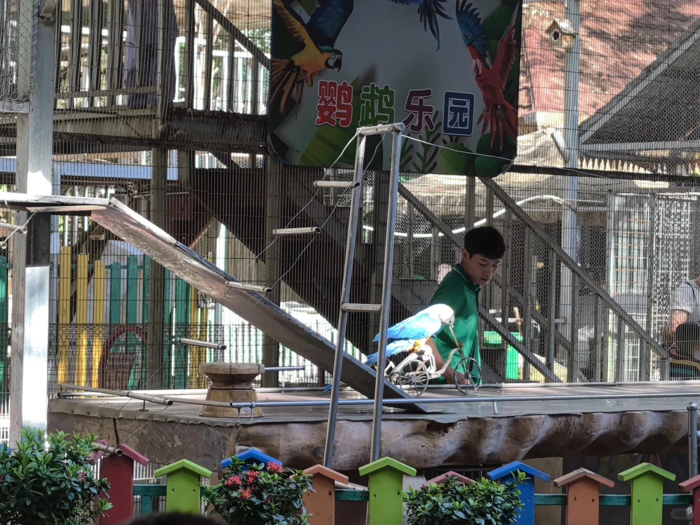 版纳必玩的两个景点