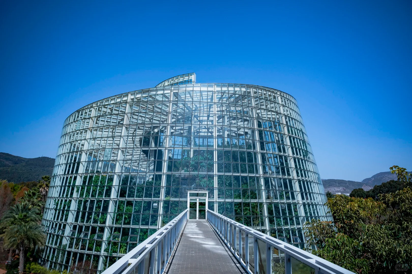 植物爱好者的天堂，昆明必玩景点扶荔宫攻略