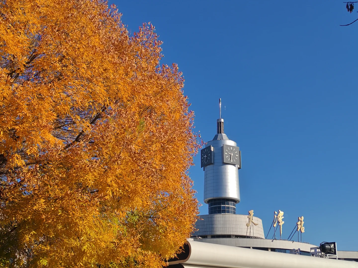 今天的天津有亿点好看