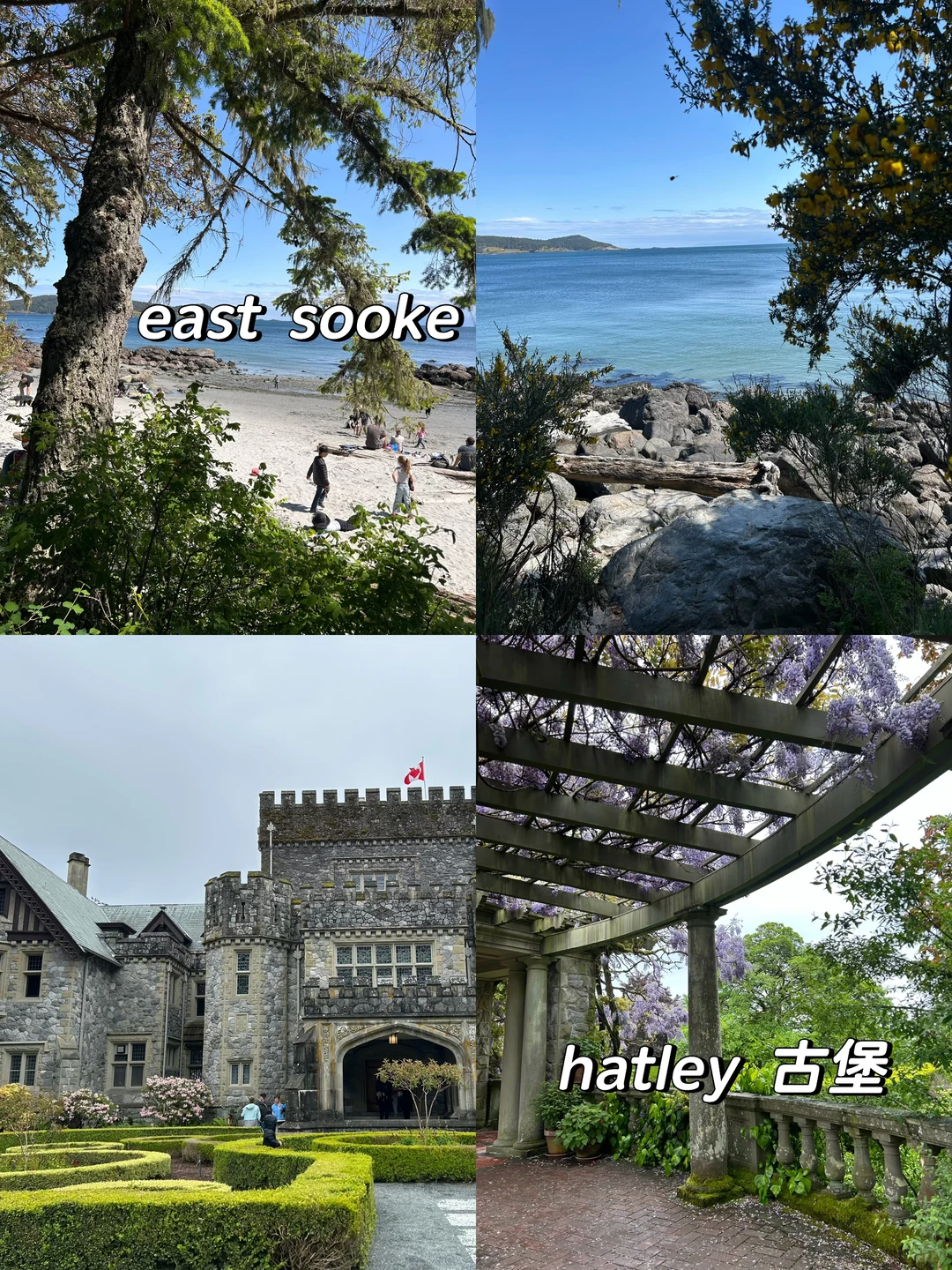 维多利亚🇨🇦🍂必去景点+周边游