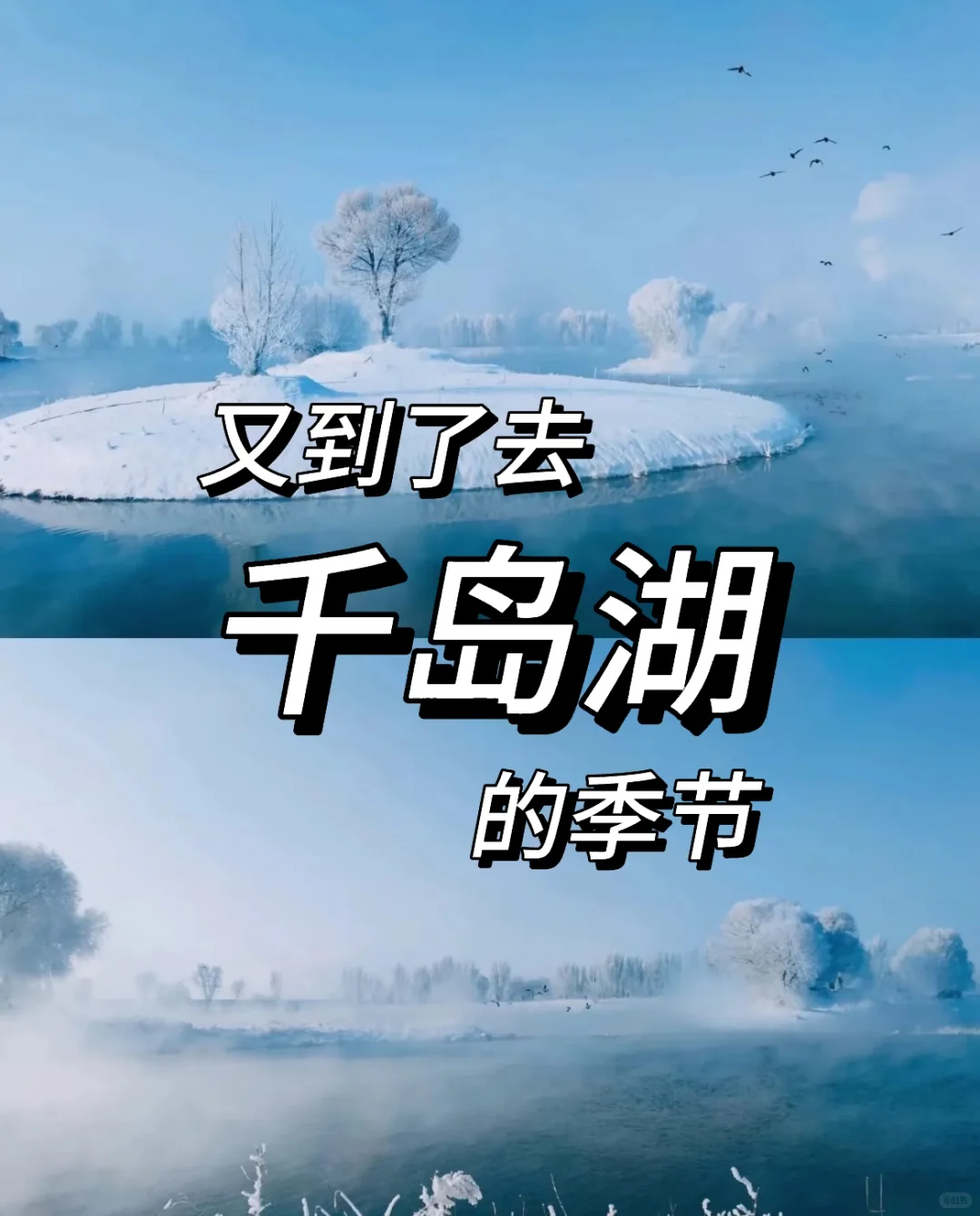 呼市被央视推荐去打卡的地方