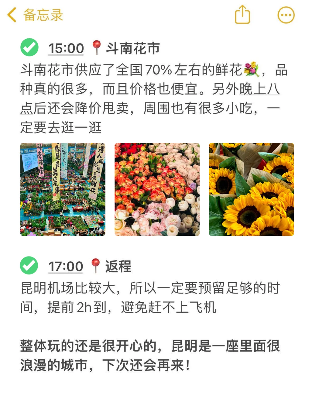 12.18📍云南已回12~2月来昆明玩的✨听劝