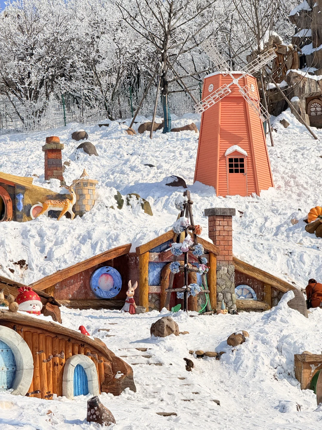 ❄️江浙沪冬季遛娃清单！四大目的地直接抄作