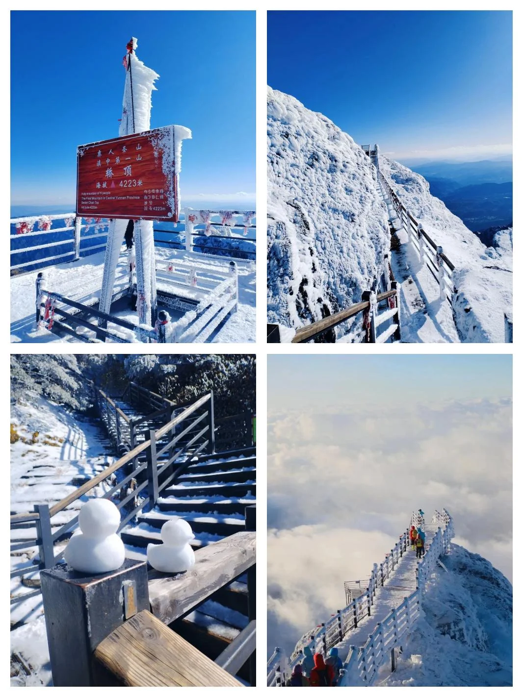 昆明直达！12月轿子雪山2天1夜攻略来啦