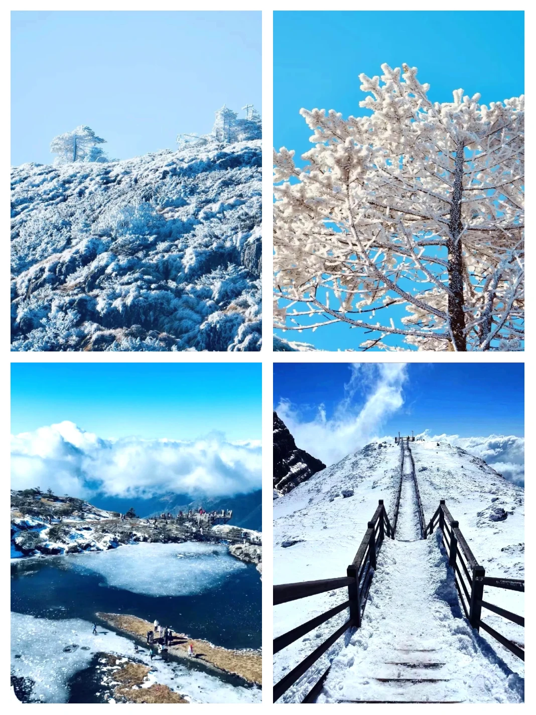 昆明直达！12月轿子雪山2天1夜攻略来啦