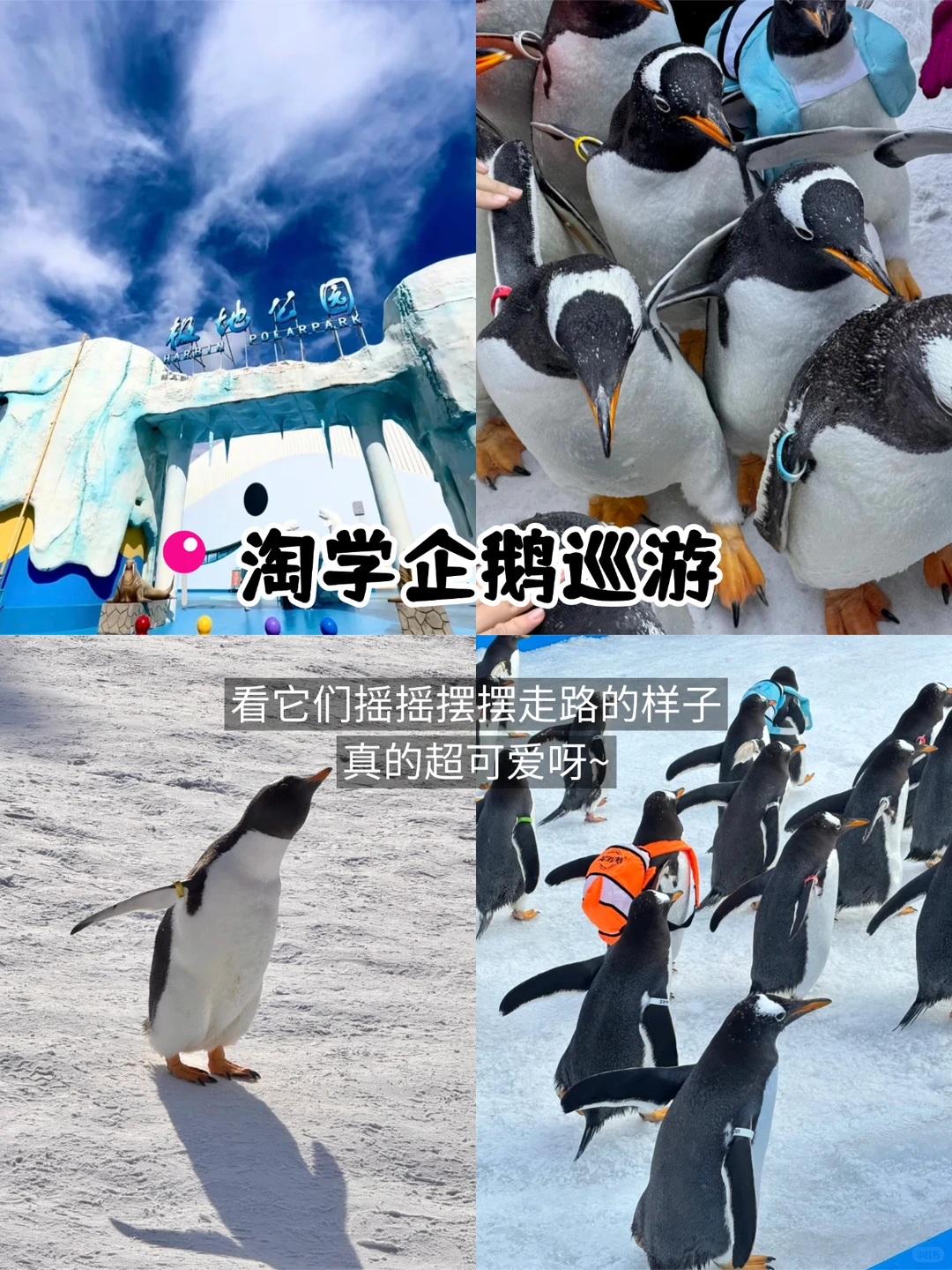 哈尔滨9个必玩景点✅花钱少还玩得爽