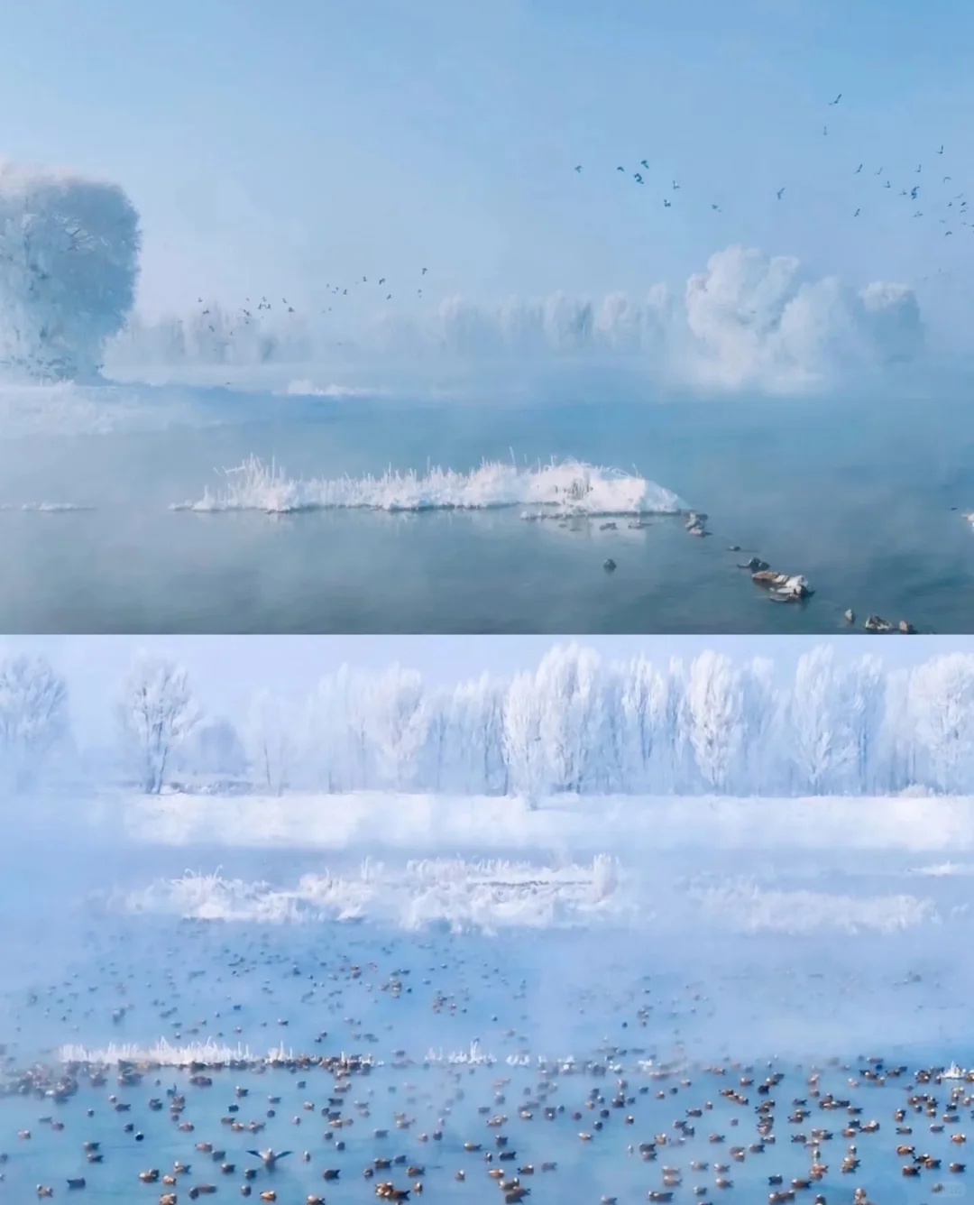 呼市被央视推荐去打卡的地方