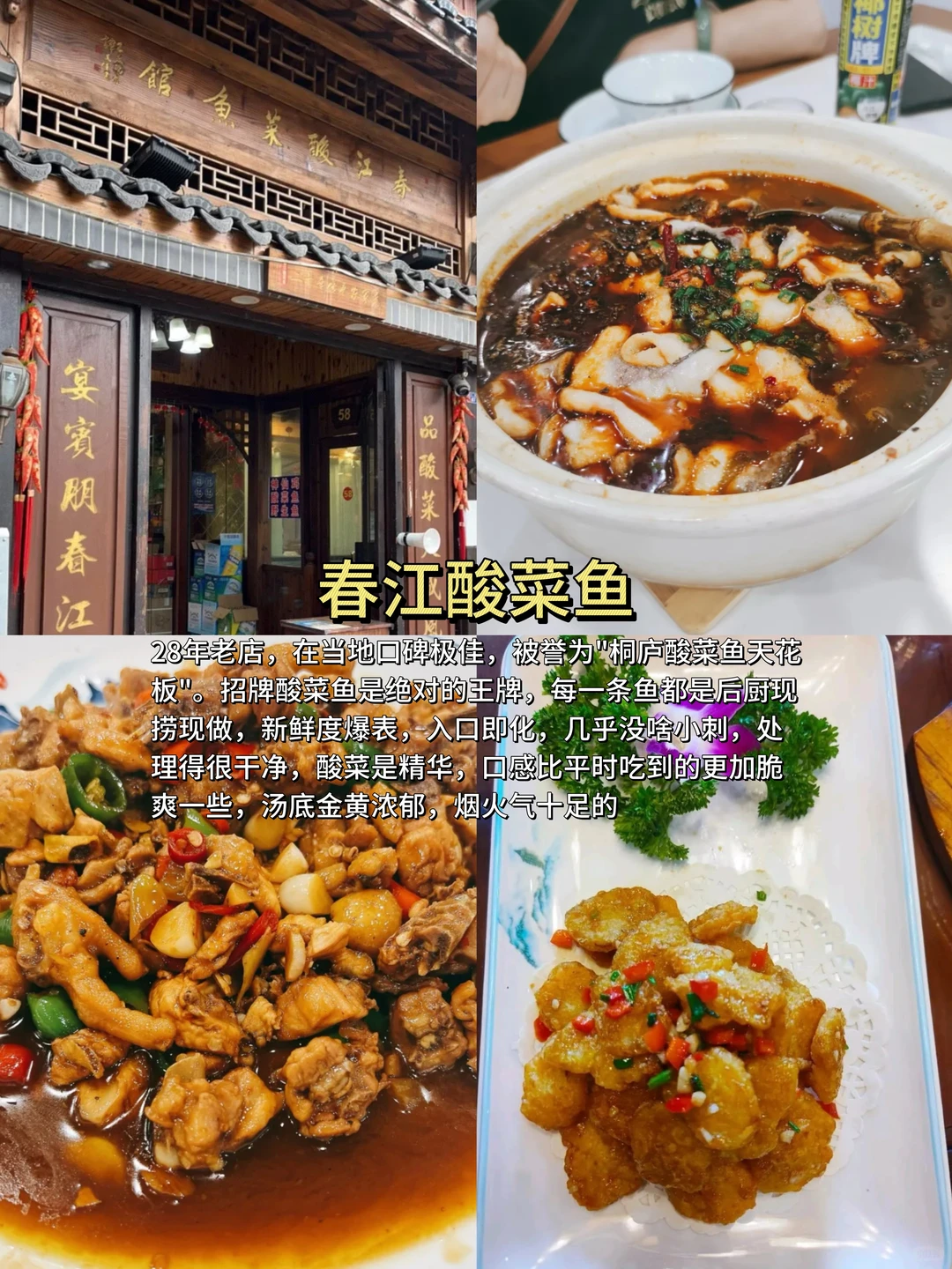 桐庐旅游保姆级攻略🥳玩吃住全搞定不踩雷