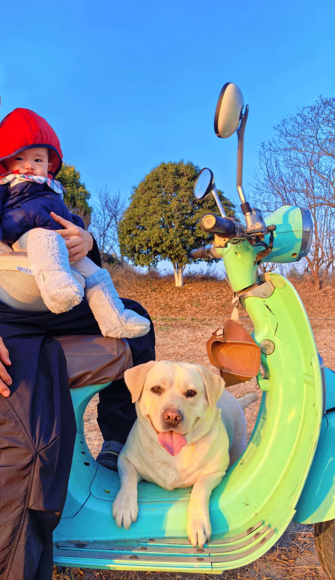 杭州开车1.5h的景区|太适合遛娃遛狗啦