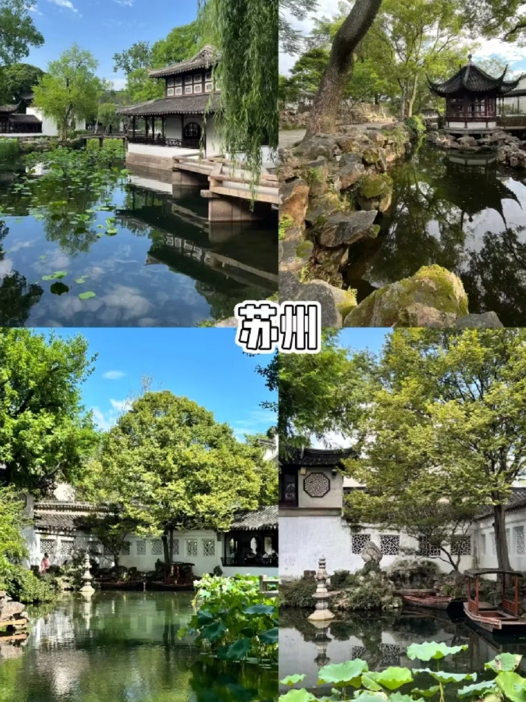 ✨长三角短途游清单｜说走就走的惬意之旅