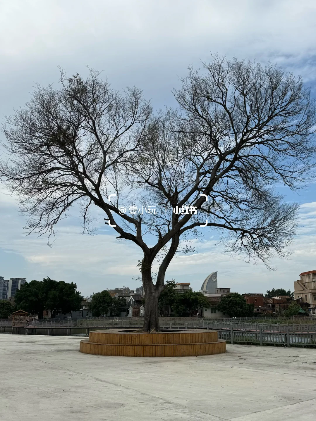 迄今为止❗️我最爱的佛山百年水上古村出现了